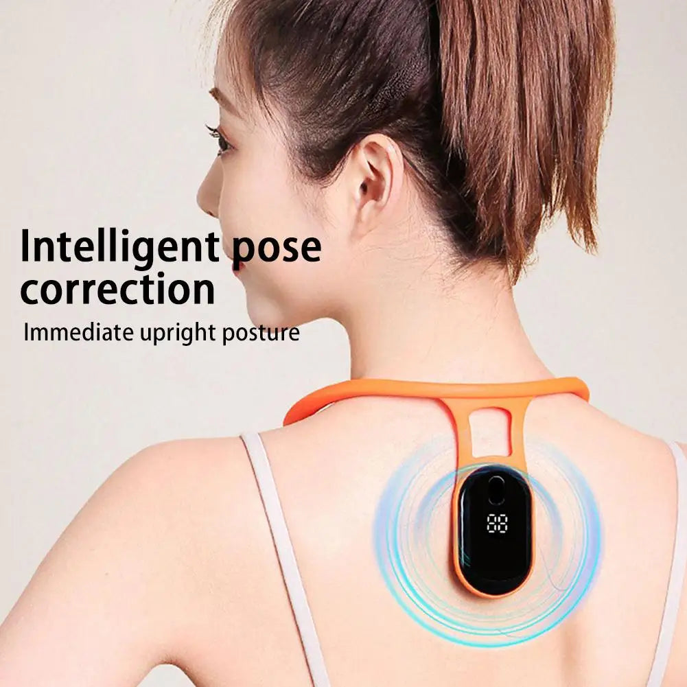 Posture Pulse